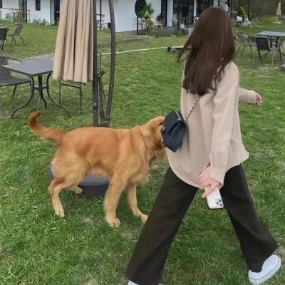 束草的冬天
